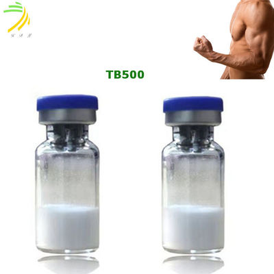 quality ثيموسين بيتا 4 ببتيدات بناء الجسم Tb500 نقاء 99٪ factory