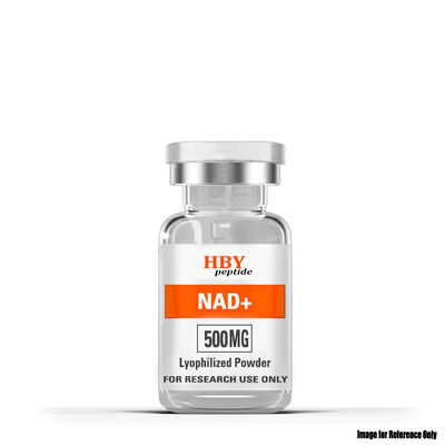 quality NAD+ Lyophilized Powder | Boost Cellular Energy & Healthy Aging factory